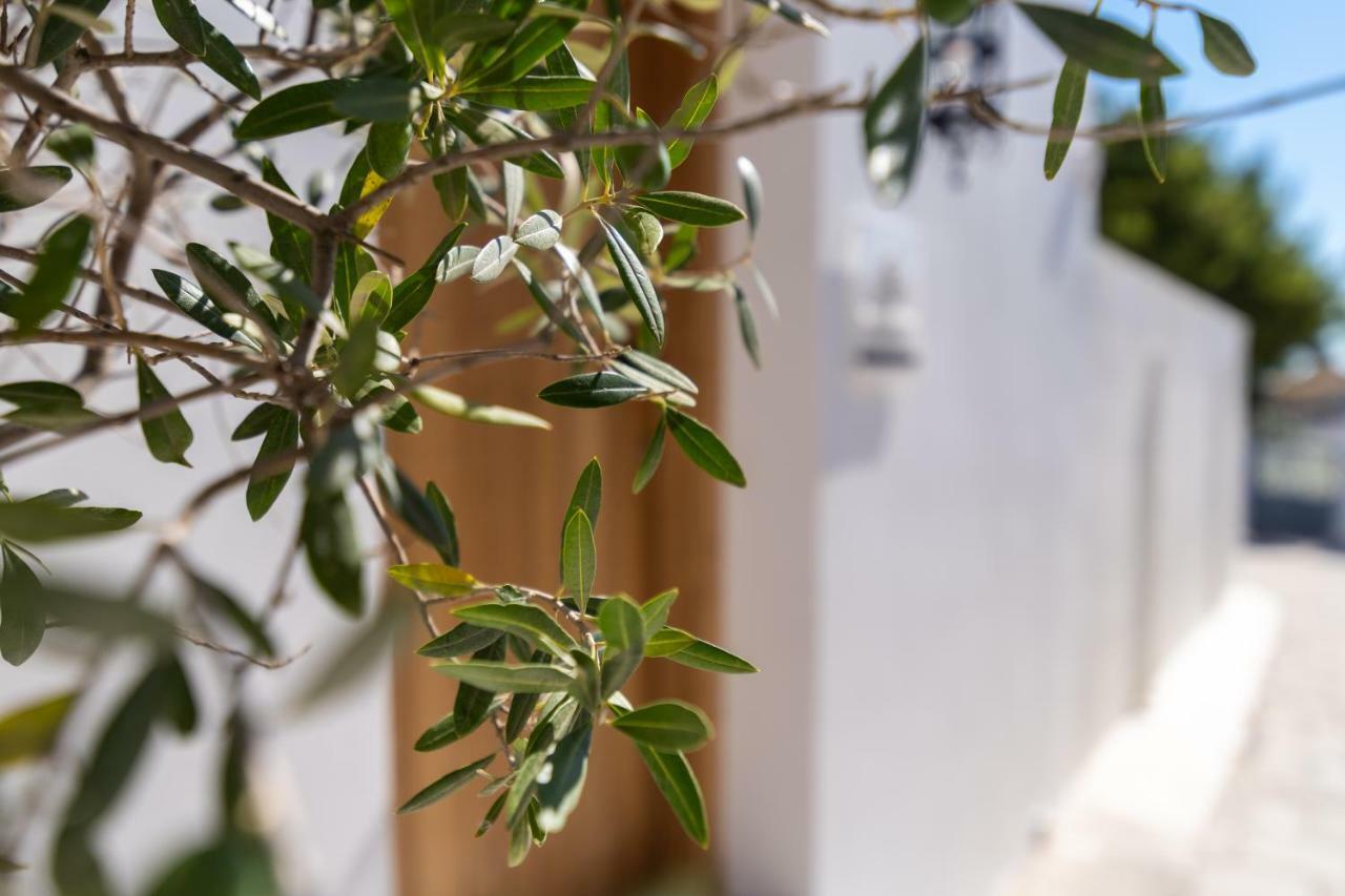 Lindian Ethos Βίλα Λίνδος Εξωτερικό φωτογραφία